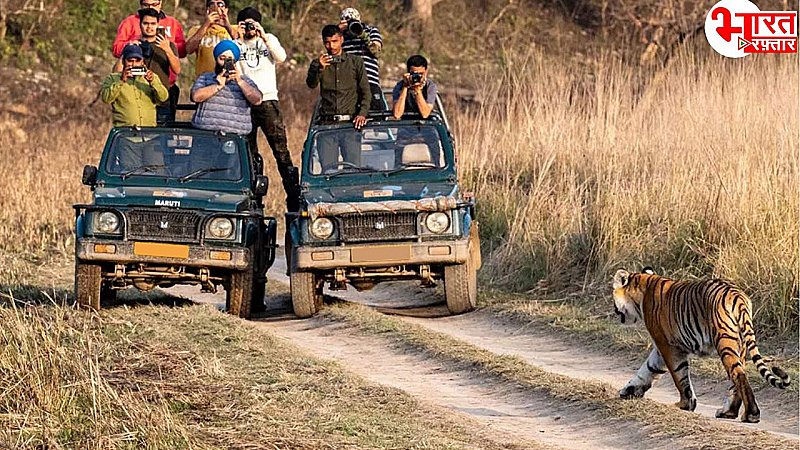 रणथम्भौर के अलावा सवाई माधोपुर की ये हैं बेस्ट चीजें, जानें बस एक क्लिक में