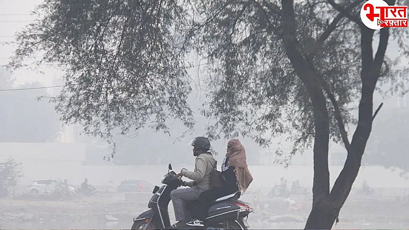 Rajasthan Weather Update: सर्दी से राहत के बाद फिर बदलेगा मौसम, आज कई जिलों में बारिश और घने कोहरे की चेतावनी!