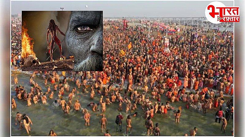 Mahakumbh 2025 श्मशान की साधना और मोक्ष की तलाश: अघोरी साधुओं की पढ़ें अनकही दास्तां