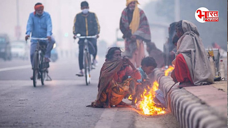 राजस्थान में ठंड का प्रकोप बरकरार, जानिए आपके शहर में कैसा रहेगा अगले 24 घंटे में मौसम