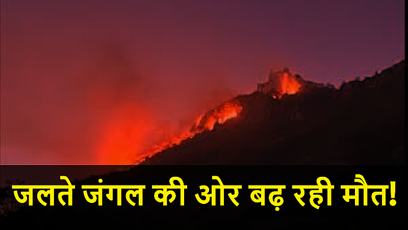 उदयपुर के जंगल में आग बेकाबू! बायोलॉजिकल पार्क में फंसे वन्यजीव, हर तरफ धुआं और दहशत