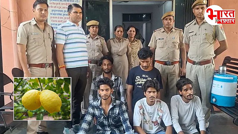 उदयपुर मे नींबू के चक्कर में चली तलवारें! काटी नाक, मुख्य आरोपी फरार, मामला जानकर उड़ जाएंगे आपके होश उदयपुर मे नींबू के चक्कर में चली तलवारें! काटी नाक, मुख्य आरोपी फरार, मामला जानकर उड़ जाएंगे आपके होश